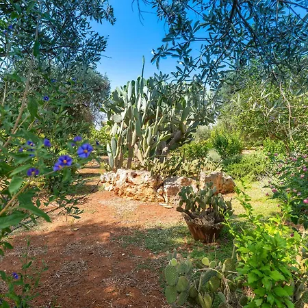 Gianfreda * Ceglie Messapica